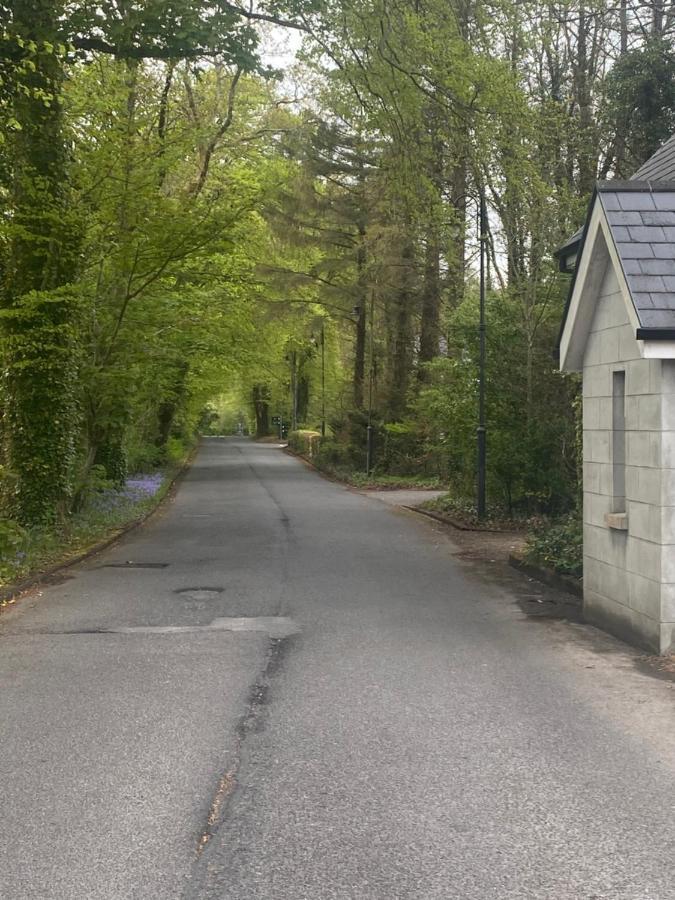 3 The Courtyard Castle Dargan Apartman Ballygawley Kültér fotó